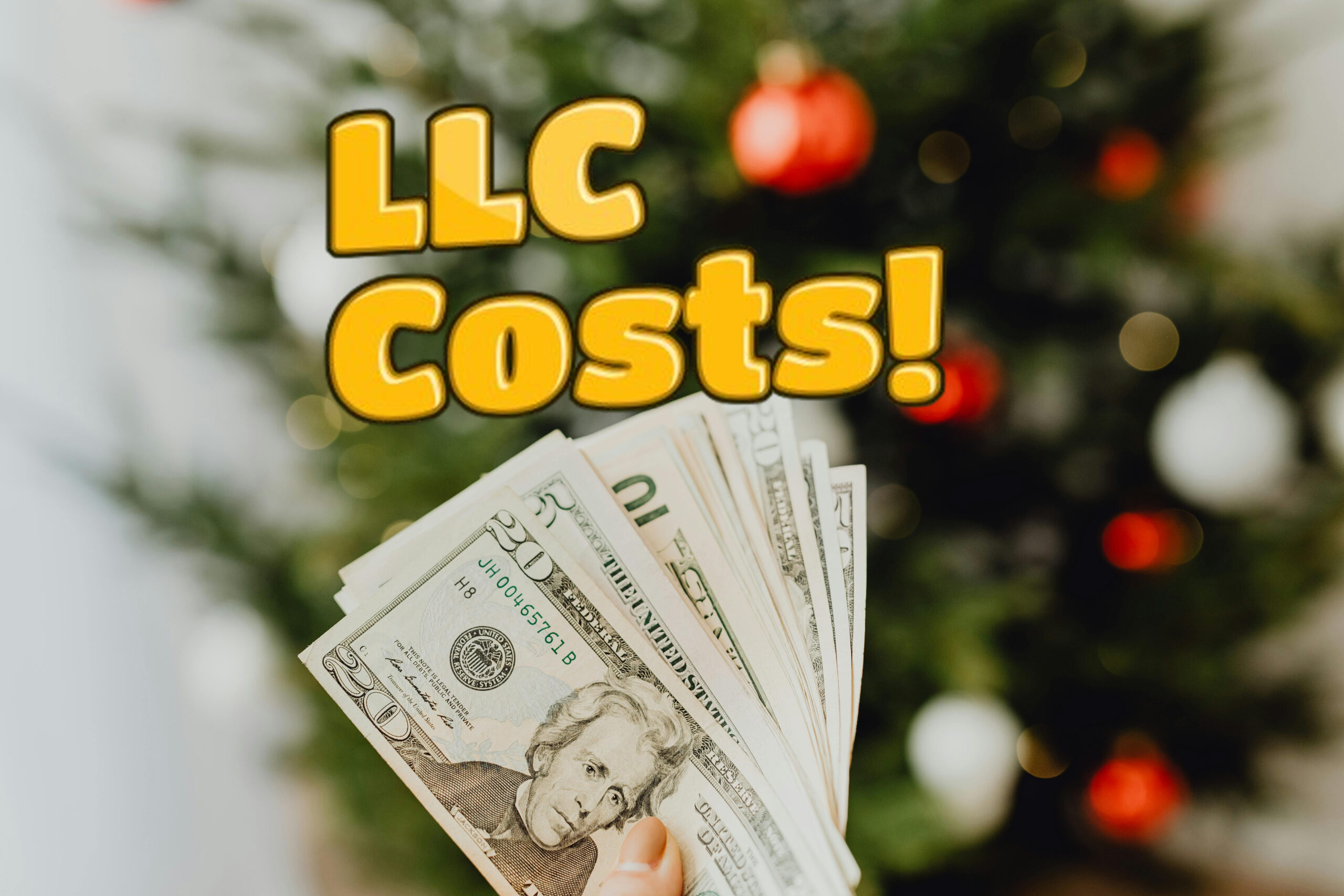 How Much Cost It Will Take For LLC Registration With EIN & BOI Report Complience